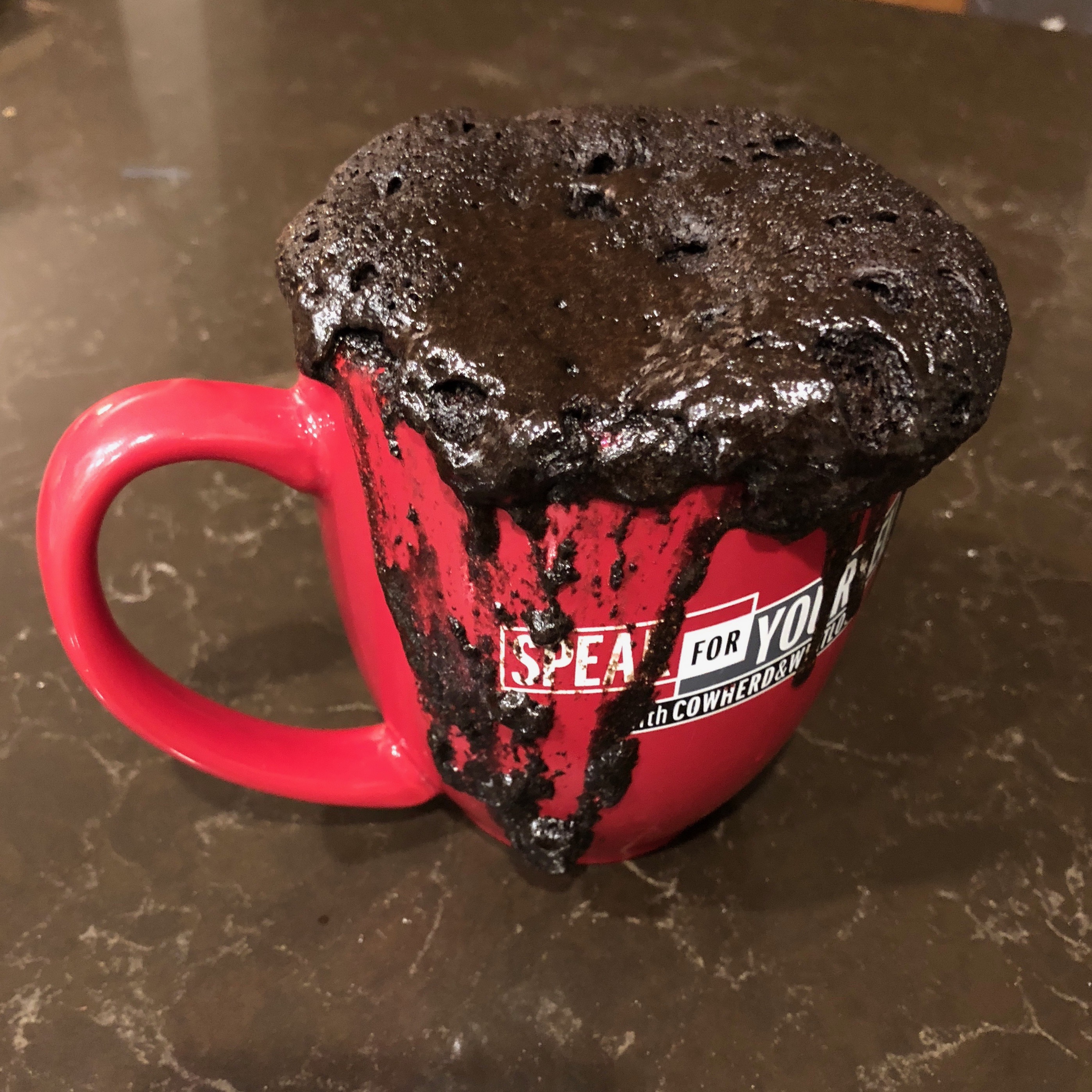 Molten Chocolate Mug Cake