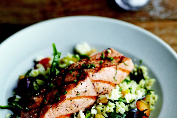 Salmon Orzo