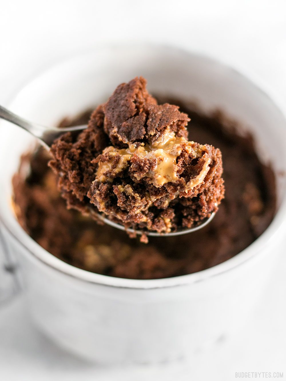 "The One" Chocolate Mug Cake